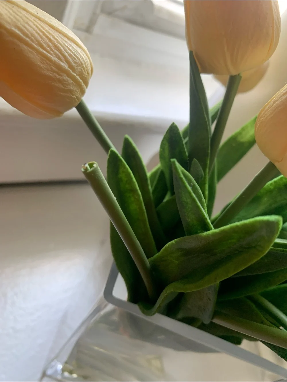 Elegant Cream Tulip Bouquet in Clear Vase - Home Accents